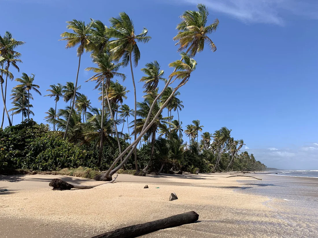 Trinidad and Tobago, where Dr. Eduardo grew up
